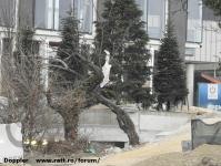 Imagine atasata: Openville - 2019.03.03 - 35.jpg